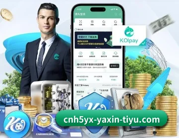 亚新 APP 深度功能